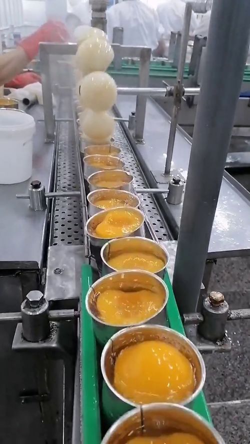 探秘罐头加工 防腐剂使用真相与矿物洗选加工工艺