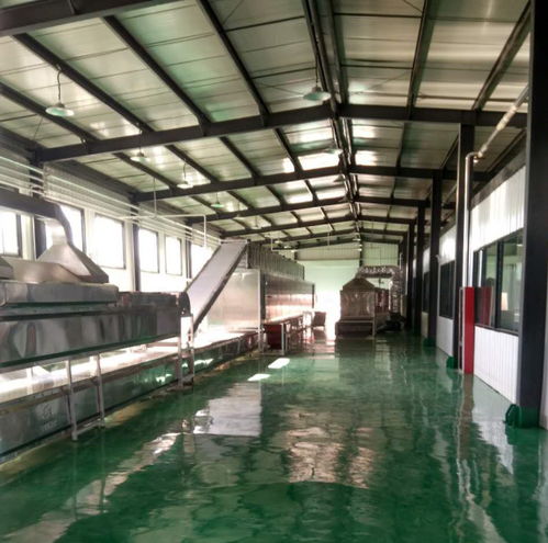 办粉条加工厂 设备选择与布置的实用指南